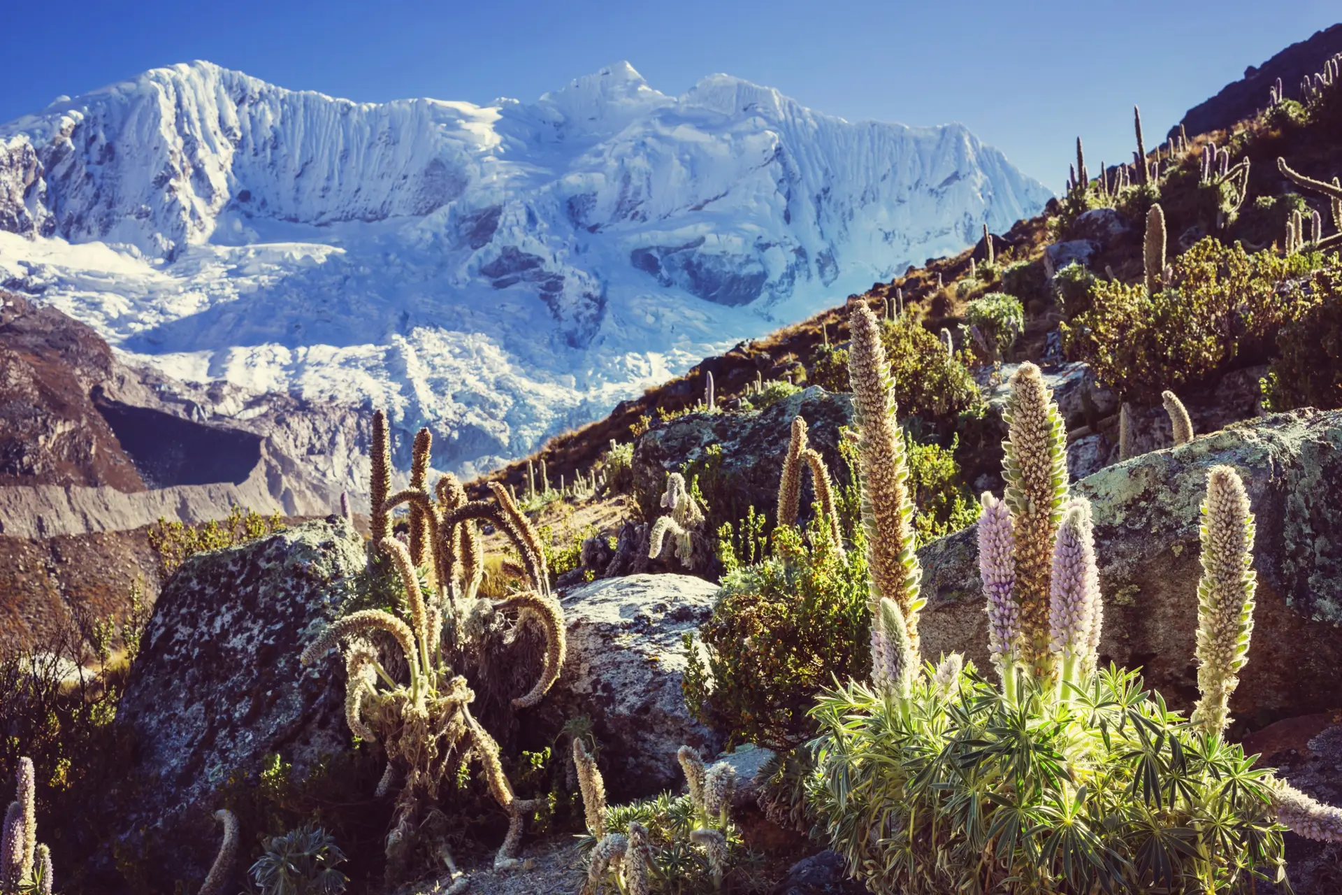 Naturaleza y Paisajes