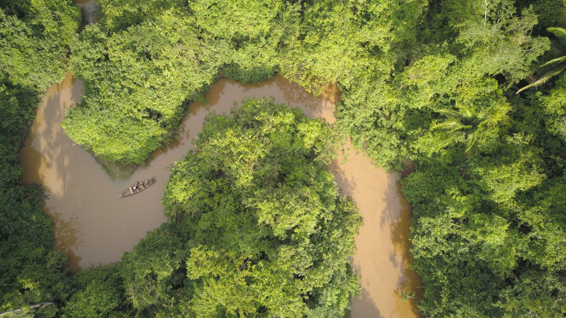 Región de la Amazonía Peruana